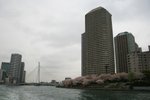 IMG_0 310