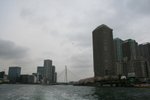 IMG_0 311