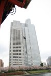 IMG_0 314