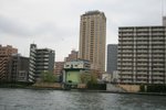 IMG_0 317