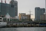 IMG_0 335