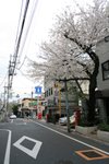 20070404 087