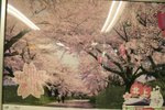 20070404 197
