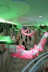 20070404 237