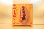 20070404 300