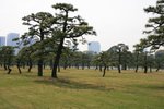 20070407a 138