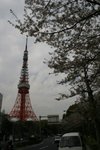 20070407a 154