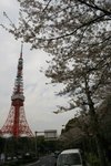 20070407a 155