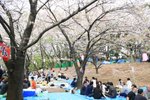 20070407a 159