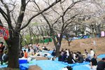 20070407a 160