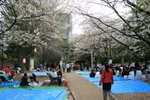20070407a 161