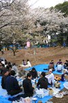 20070407a 163