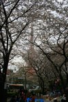 20070407a 164