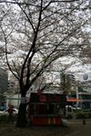 20070407a 166