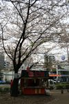 20070407a 167