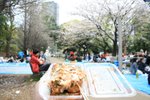 20070407a 169