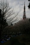 20070407a 173