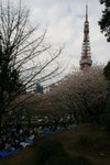 20070407a 174
