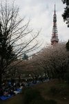 20070407a 175