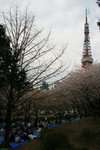 20070407a 176