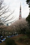 20070407a 177