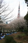 20070407a 178