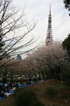 20070407a 179