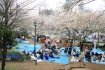 20070407a 180