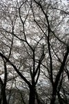 20070407a 182