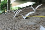 IMG_4960