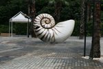 IMG_4963