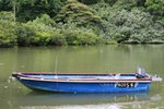 IMG_4981