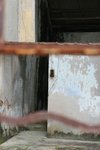 IMG_5003