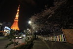IMG_7661