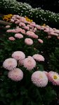 IMG_20150401_154427