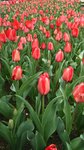 IMG_20150401_154451