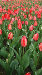 IMG_20150401_154453