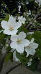 IMG_20150401_154537
