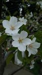 IMG_20150401_154541