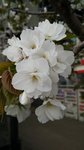 IMG_20150401_154605