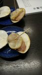 IMG_20150401_161517