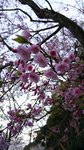 IMG_20150401_163943