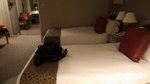 IMG_20150401_205813