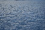 IMG_0469