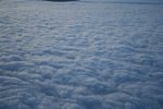 IMG_0470