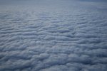 IMG_0478