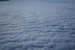IMG_0479