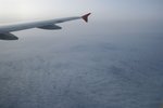 IMG_0482