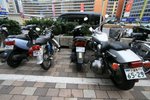 IMG_8105