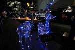 IMG_8137